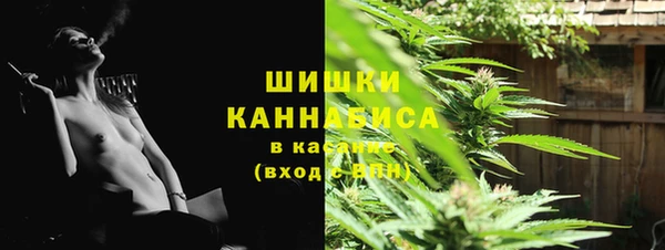 бошки Коряжма