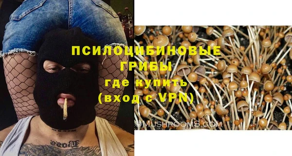 бошки Коряжма