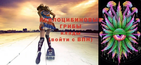 бошки Коряжма