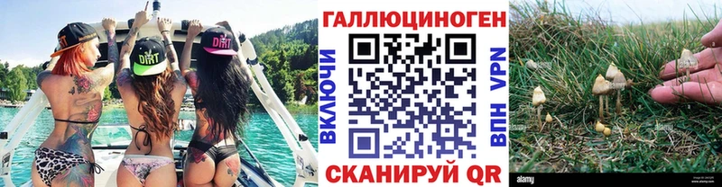 Купить где  Жирновск  Псилоцибиновые грибы мицелий 