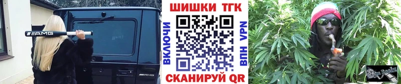 Конопля планчик  Купить закладки  Жирновск 